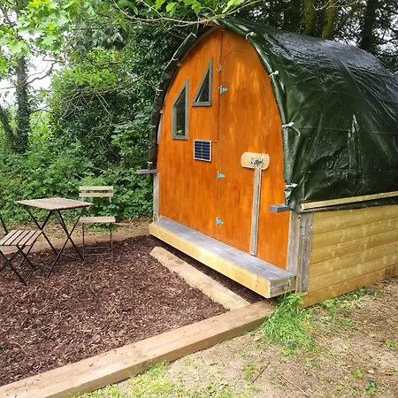 The Cozy Killeagh