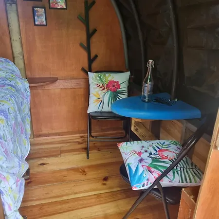 The Cozy