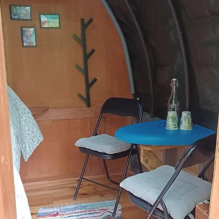 Campo de lujo The Cozy *