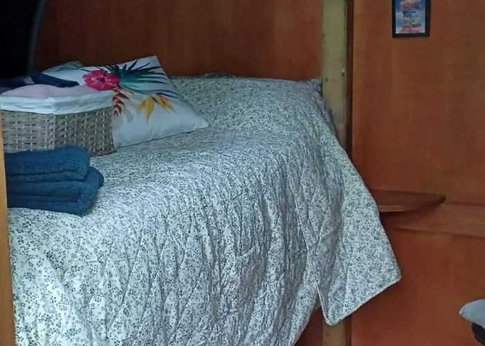 豪华帐篷 The Cozy Killeagh